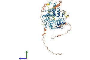 Protein Structure (PS) image for Zinc Finger Protein 426 (ZNF426) (AA 1-554) protein (His tag) (ABIN7545551)