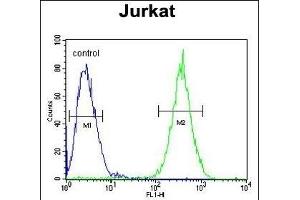 SELPLG Antibody (C-term) (ABIN654425 and ABIN2844160) flow cytometric analysis of Jurkat cells (right histogram) compared to a negative control cell (left histogram). (SELPLG 抗体  (C-Term))