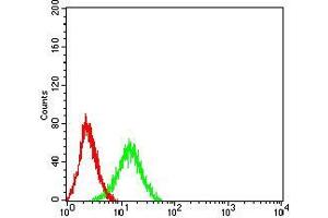 Flow cytometric analysis of Jurkat cells using ADAR mouse mAb (green) and negative control (red). (ADAR 抗体  (AA 1085-1223))