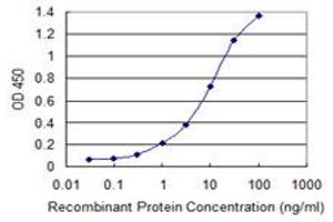 Detection limit for recombinant GST tagged RAB11FIP5 is 0. (RAB11FIP5 抗体  (AA 554-652))