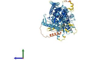 AlphaFold protein structure predicition of Human Recombinant ANO6 Protein, UniprotID Q4KMQ2