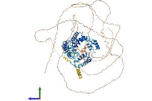 AlphaFold protein structure predicition of Human Recombinant TTF1 Protein, UniprotID Q15361
