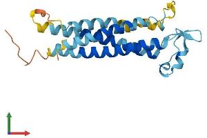 AlphaFold protein structure predicition of Mouse Recombinant Tm4sf4 Protein, UniprotID Q91XD3