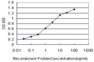 Detection limit for recombinant GST tagged ABL2 is approximately 0. (ABL2 抗体  (AA 743-842))