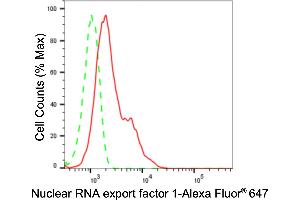 Flow cytometric analysis of Nuclear RNA export factor 1 expression in HepG2 cells using Nuclear RNA export factor 1 antibody (ABIN7799664), 1:2,000). (Recombinant NXF1 抗体)