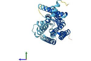 Protein Structure (PS) image for Olfactory Receptor, Family 51, Subfamily B, Member 4 (OR51B4) (AA 1-310) protein (His tag) (ABIN7550138)