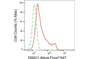Flow cytometric analysis of RING1 expression in HepG2 cells using RING1 antibody (ABIN7800240), 1:2,000). (Recombinant RING1 抗体)