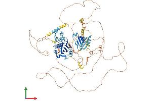Protein Structure (PS) image for Nuclear Receptor Coactivator 7 (NCOA7) (AA 1-942) protein (His tag) (ABIN7554729)