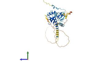 AlphaFold protein structure predicition of Mouse Recombinant Cep41 Protein, UniprotID Q99NF3