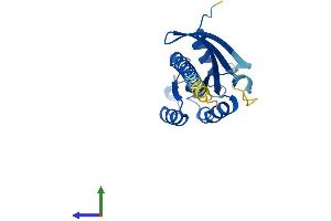 Protein Structure (PS) image for RAB35, Member RAS Oncogene Family (RAB35) (AA 1-201) protein (His tag) (ABIN7558083)