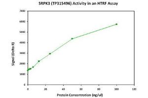Bioactivity measured with Activity Assay (SRPK3 Protein (Myc-DYKDDDDK Tag))