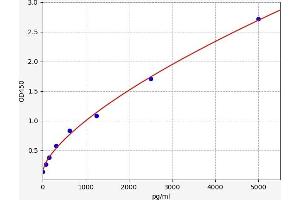 Phenylalanine Hydroxylase ELISA 试剂盒