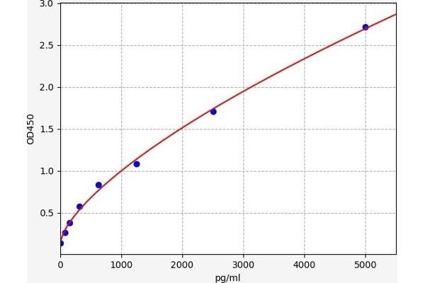 Phenylalanine Hydroxylase ELISA 试剂盒