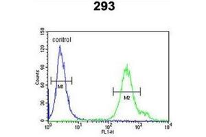 Flow cytometric analysis of 293 cells using REG3A Antibody (N-term) Cat. (REG3A 抗体  (N-Term))