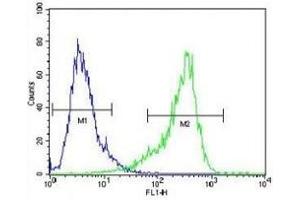 Flow Cytometry (FACS) image for anti-Cytochrome P450, Family 26, Subfamily A, Polypeptide 1 (CYP26A1) (AA 467-497) antibody (ABIN3030691)