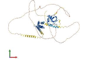 Protein Structure (PS) image for PC4 and SFRS1 Interacting Protein 1 (PSIP1) (AA 1-530) protein (His tag) (ABIN7555084)
