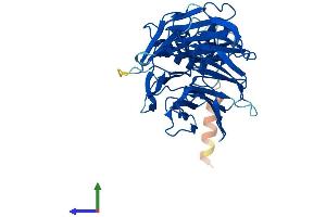 Protein Structure (PS) image for F-Box and WD Repeat Domain Containing 4 (FBXW4) (AA 1-412) protein (His tag) (ABIN7547678)