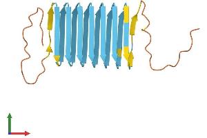 AlphaFold protein structure predicition of Human Recombinant KRTAP4-3 Protein, UniprotID Q9BYR4