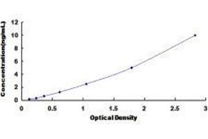 Angiopoietin-Like 1 (ANGPTL1) ELISA Kit