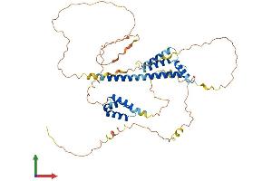 Protein Structure (PS) image for PBX/knotted 1 Homeobox 2 (PKNOX2) (AA 1-472) protein (His tag) (ABIN7550779)