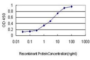 Detection limit for recombinant GST tagged COASY is approximately 0. (COASY 抗体  (AA 1-225))