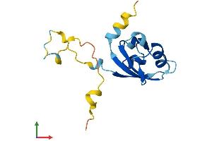 Protein Structure (PS) image for PDZ Domain Containing 11 (PDZD11) (AA 1-140) protein (His tag) (ABIN7550704)