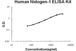 Human Nidogen-1/Entactin/NID-1 PicoKine ELISA Kit standard curve (Nidogen 1 ELISA 试剂盒)