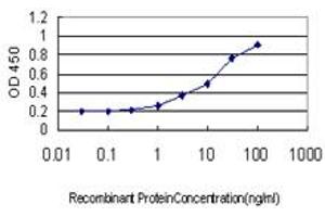 Detection limit for recombinant GST tagged USP47 is approximately 0. (USP47 抗体  (AA 203-301))