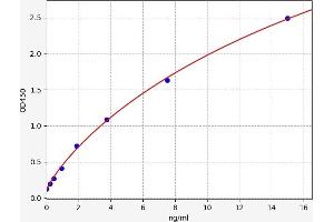 Typical standard curve (Creatine Kinase MB ELISA 试剂盒)