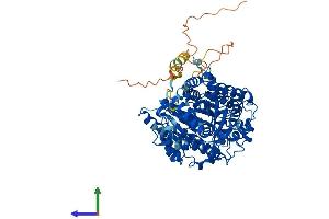 Protein Structure (PS) image for Glycogen Synthase 2, Liver (GYS2) (AA 1-703) protein (His tag) (ABIN7548141)