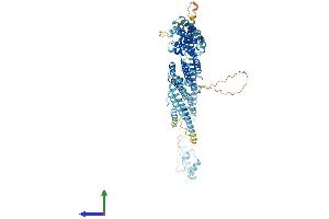 Protein Structure (PS) image for Conserved oligomeric Golgi complex subunit 2 (COG2) (AA 1-738) protein (His tag) (ABIN7546726)