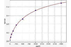 Cyclin D3 ELISA 试剂盒