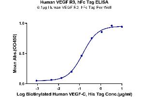 Immobilized Human VEGF R3, hFc Tag at 1 μg/mL (100 μL/well) on the plate. (VEGFC Protein (AA 103-227) (His-Avi Tag,Biotin))
