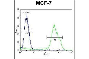 Flow cytometric analysis of MCF-7 cells (right histogram) compared to a negative control cell (left histogram). (RNF19B 抗体  (AA 369-398))