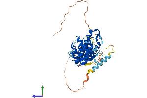 Protein Structure (PS) image for Sorting Nexin 21 (SNX21) (AA 1-363) protein (His tag) (ABIN7557261)