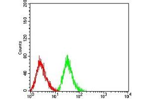 Flow cytometric analysis of HL-60 cells using CD43 mouse mAb (green) and negative control (red). (CD43 抗体  (AA 20-253))