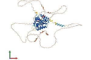 AlphaFold protein structure predicition of Human Recombinant TOR1AIP1 Protein, UniprotID Q5JTV8