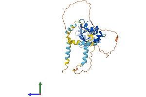 Protein Structure (PS) image for Ubiquitin-Conjugating Enzyme E2U (UBE2U) (AA 1-321) protein (His tag) (ABIN7544986)