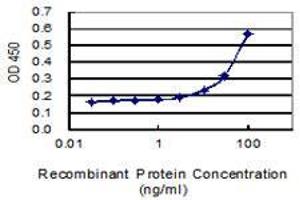 Detection limit for recombinant GST tagged SAR1A is 3 ng/ml as a capture antibody. (SAR1A 抗体  (AA 1-198))