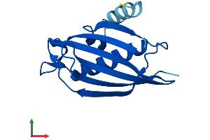 Protein Structure (PS) image for Acyl-CoA Thioesterase 13 (ACOT13) (AA 1-140) protein (His tag) (ABIN7560567)