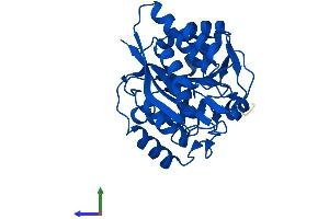 Protein Structure (PS) image for Mediator of Cell Motility 1 (MEMO1) (AA 1-297) protein (His tag) (ABIN7559989)