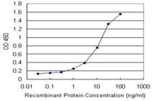 Detection limit for recombinant GST tagged FTL is 1 ng/ml as a capture antibody. (FTL 抗体)