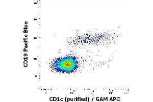 Flow cytometry multicolor surface staining of human lymphocytes stained using anti-human CD1c (L161) purified antibody (concentration in sample 0,33 μg/mL, GAM APC) and anti-human CD19 (LT19) APC antibody (20 μL reagent / 100 μL of peripheral whole blood). (CD1c 抗体)