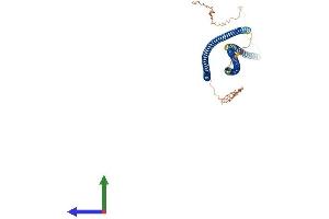 Protein Structure (PS) image for Keratin 80 (KRT80) (AA 1-452) protein (His tag) (ABIN7548727)