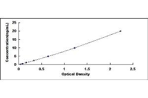 Typical standard curve (MLYCD ELISA 试剂盒)