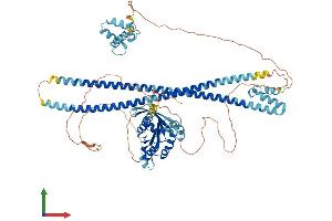 Protein Structure (PS) image for RAS and EF Hand Domain Containing (RASEF) (AA 1-740) protein (His tag) (ABIN7551162)