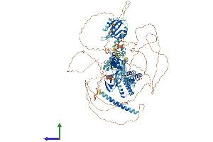 Protein Structure (PS) image for Potassium Voltage-Gated Channel, Subfamily H (Eag-Related), Member 7 (KCNH7) (AA 1-1196) protein (His tag) (ABIN7554247)