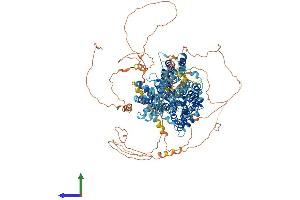 Protein Structure (PS) image for Solute Carrier Family 4, Anion Exchanger, Member 3 (SLC4A3) (AA 1-1227) protein (His tag) (ABIN7562901)
