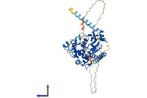 AlphaFold protein structure predicition of Human Recombinant CHST8 Protein, UniprotID Q9H2A9