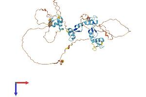 AlphaFold protein structure predicition of Human Recombinant ZNF296 Protein, UniprotID Q8WUU4 (Zinc Finger Protein 296 (ZNF296) (AA 1-475) protein (His tag))